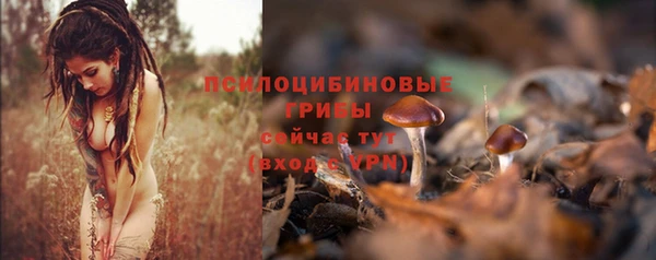экстази Алексеевка