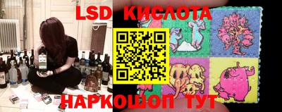 гашик Кулебаки