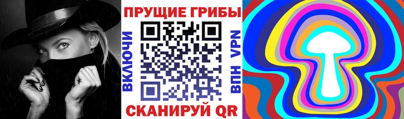 как найти закладки  OMG зеркало  Галлюциногенные грибы Psilocybe  Кумертау 