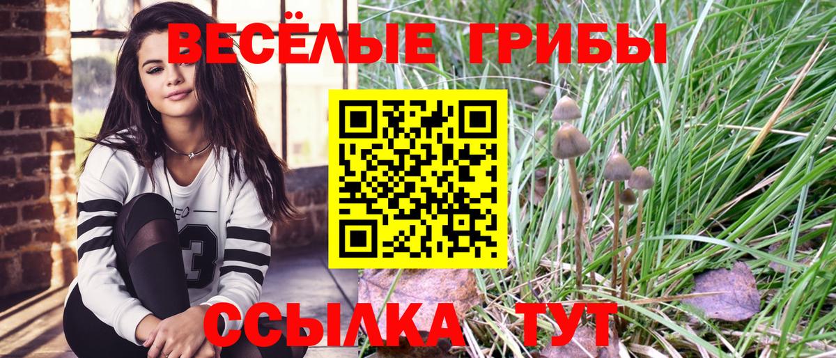 Псилоцибиновые грибы прущие грибы Кумертау