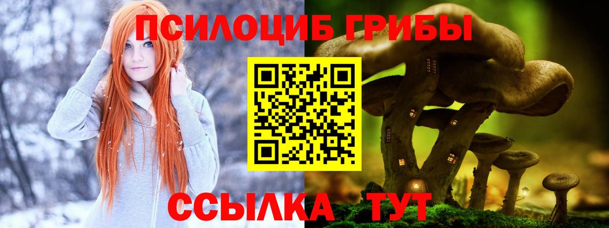 Псилоцибиновые грибы GOLDEN TEACHER  Вход с VPN  Галлюциногенные грибы Magic Shrooms  Кумертау 